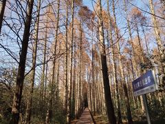 -同里国家湿地公园
