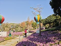 -云溪植物园