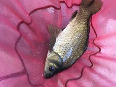 -酷鱼垂钓CLUB(朝阳区博大路店 )