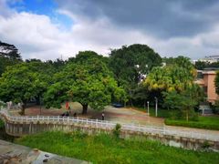 -梧桐山风景名胜区