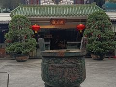 -侨美·唐荔园·40年地道粤菜