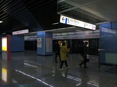 -大龙山(地铁站)