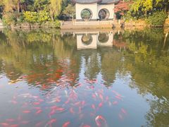-红梅公园
