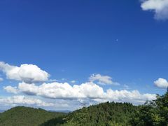 -武陵山森林公园