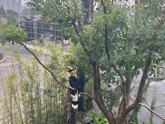 -武汉动物园
