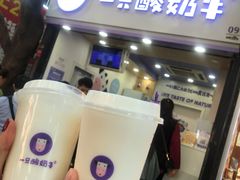 门面-一只酸奶牛(八一路店)