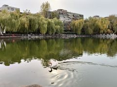 -莲湖公园