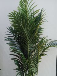点击看大图 -玛尼瑜伽·普拉提