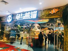 -龟与熊猫宠物公园(南坪店)
