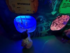 -芜湖新华联大白鲸海洋公园