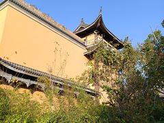 -宁国禅寺·停车场