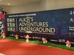 -爱丽丝冒险奇遇记