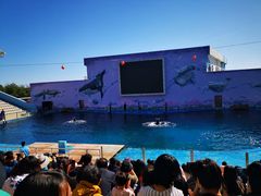-北戴河圣蓝海洋公园
