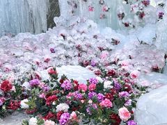 -洛阳白云山景区