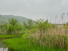-西湖风景区-江洋畈生态公园