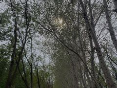 -东郊湿地公园