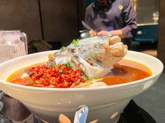 -凤凰湘语(浦东旗舰店)