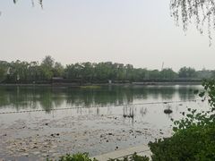 -后海公园