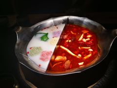 -湊湊火锅·茶憩(石家庄万象城店)