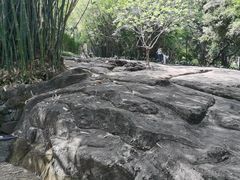 -晓港公园