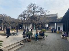 -荣阳楼(山塘街店)