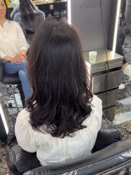 -藤野造型烫染优质