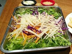 蔬菜沙拉-臻炙大舍烤串(天龙家园店)