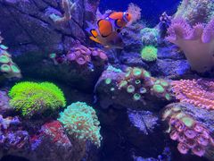 -成都浩海立方海洋公园