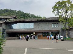 -都江堰中华大熊猫苑