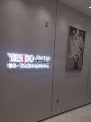 -YESIDO椰岛造型