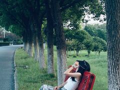 -艾溪湖湿地公园