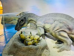 -国家自然博物馆