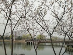 -云海肴云南菜·蒸汽石锅鱼(北京良乡华冠店)