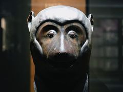 -闵行博物馆