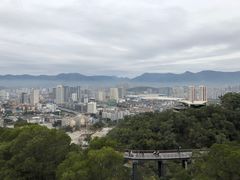 -金鸡山公园