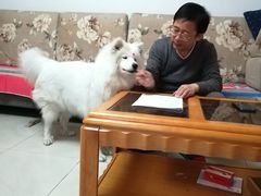 -宠福鑫康馨动物医院·骨科·眼科