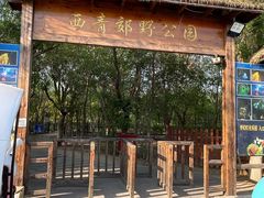 -西青郊野公园