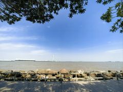 -上海吴淞炮台湾国家湿地公园