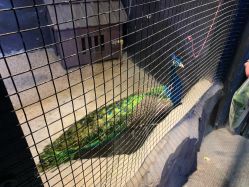 -酷嗒动物文化乐园(cutezoo西溪乐天城店)