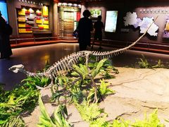 -自贡恐龙博物馆