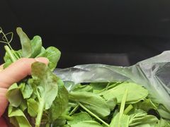 -苏三拉面馆