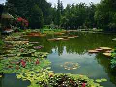 -国家植物园南园