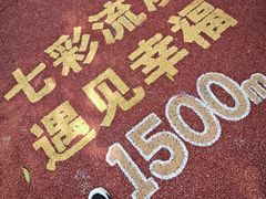 -广州市流溪河国家森林公园