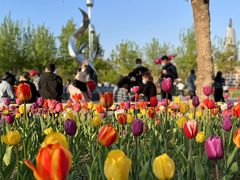 -长春公园(普阳街道)