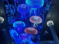 -圆融星座购物中心