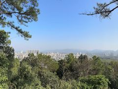 -分塔山省级森林公园