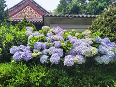 -青岛崂山太清宫