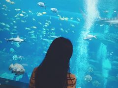 -雨林餐厅(长隆海洋王国店)