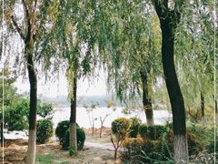 -大兴滨河森林公园