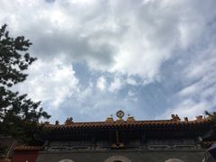 -盛德圆(五台山云龙店)